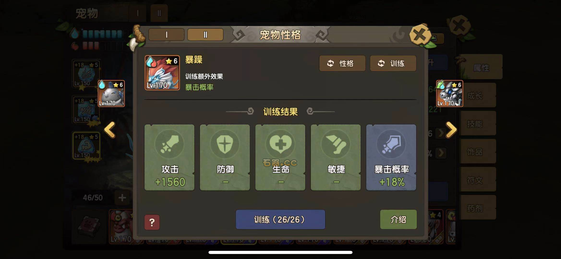 石器时代宠物狮子篇