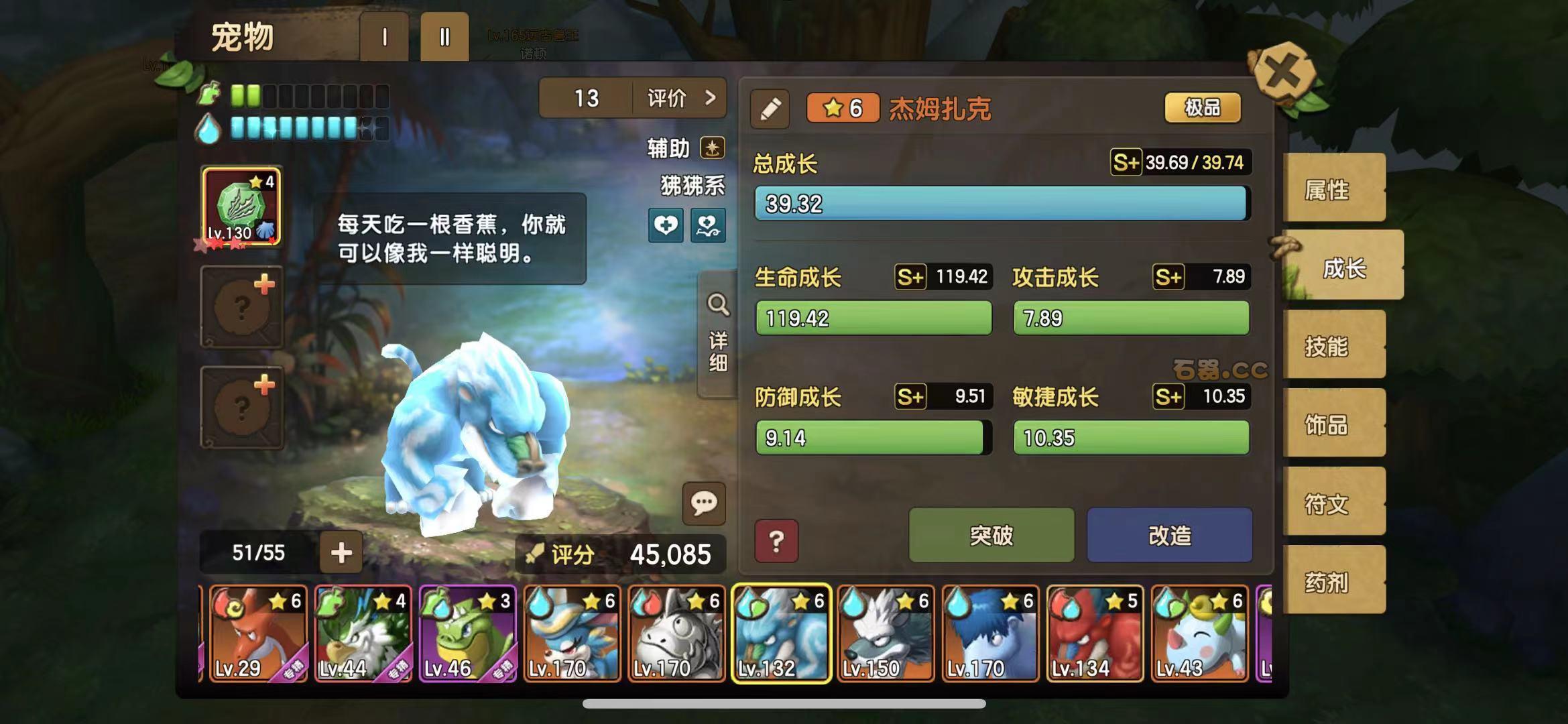 石器时代无所不能的宠物狒狒